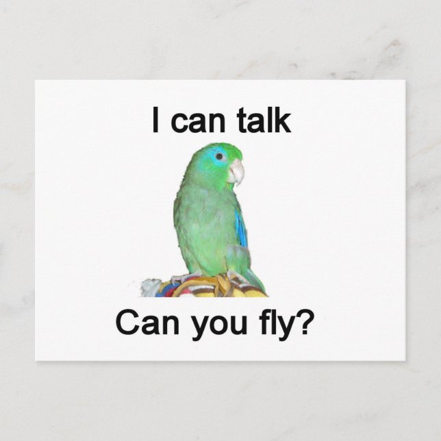 I can talk, can you fly? postcard (Front)
