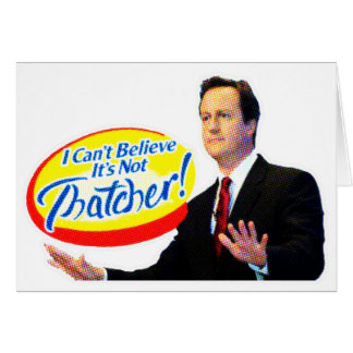 I Can't Believe It's Not Thatcher!