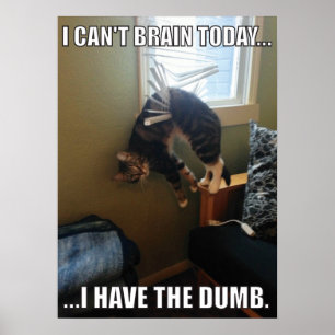 I Can't Brain Today. I Have The Dumb (cat) Poster
