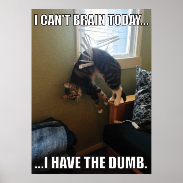 I Can't Brain Today. I Have The Dumb (cat) Poster (Front)