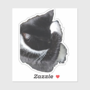 I Can't Even Right Meow