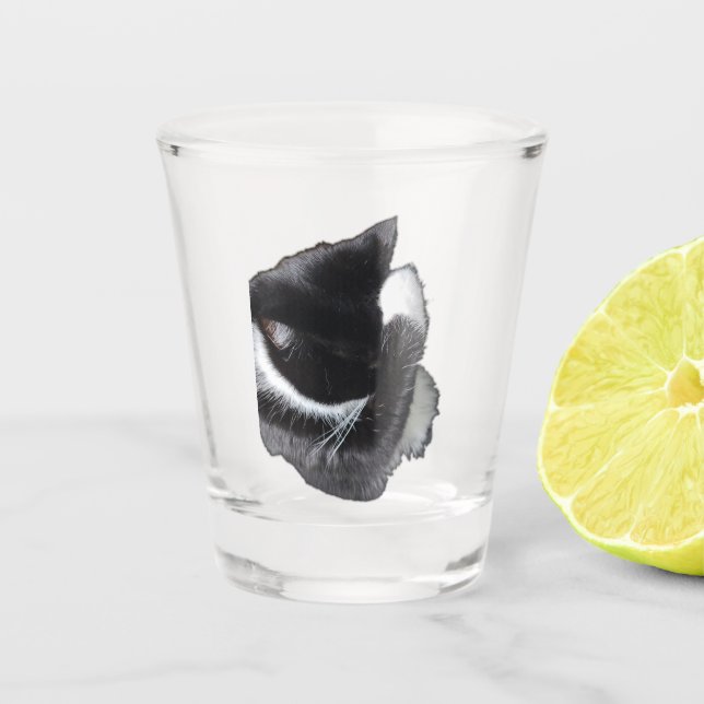 I Can't Even Right Meow Shot Glass (Front)