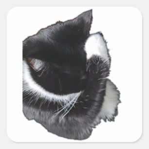 I Can't Even Right Meow Square Sticker