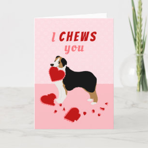 I Chews You Australian Shepherd Valentine's Day Holiday Card