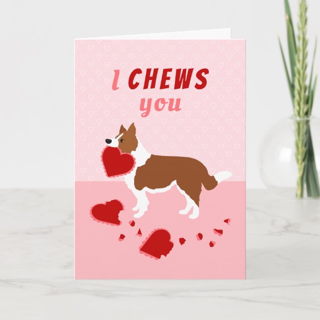 I Chews You Border Collie Valentine's Day Holiday  (Front)