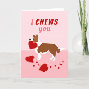 I Chews You Border Collie Valentine's Day Holiday