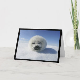 I Club You (love / valentine's day card) Holiday Card