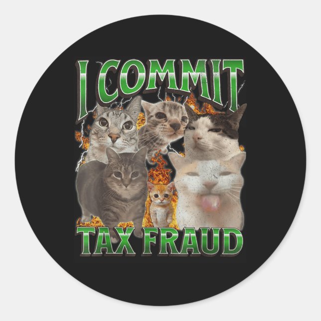 I Commit Tax Fraud Funny Offensive Cat Meme Bootle Classic Round Sticker (Front)