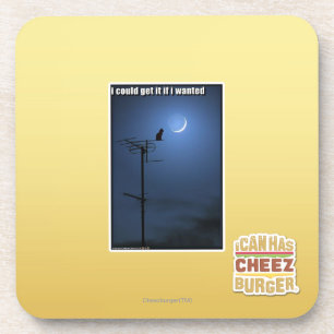 I could get it if I wanted Coaster