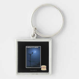 I could get it if I wanted Key Ring