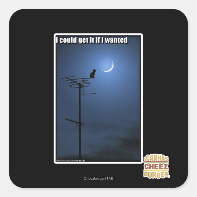 I could get it if I wanted Square Sticker (Front)