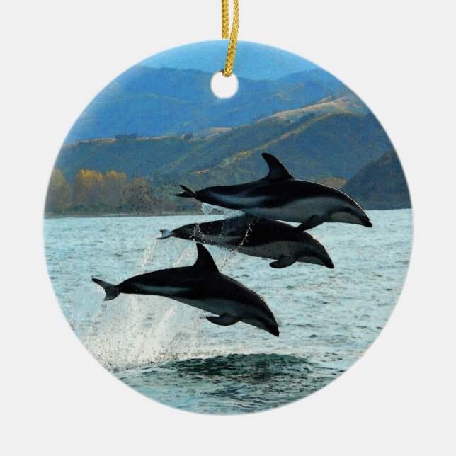 I Delfini Christmas Ornament (Front)