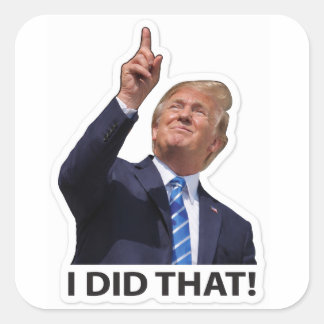 I did that , political humour square sticker