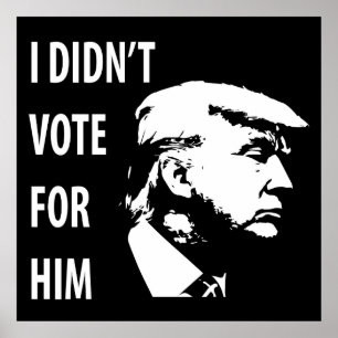 I didn’t vote for Trump Poster