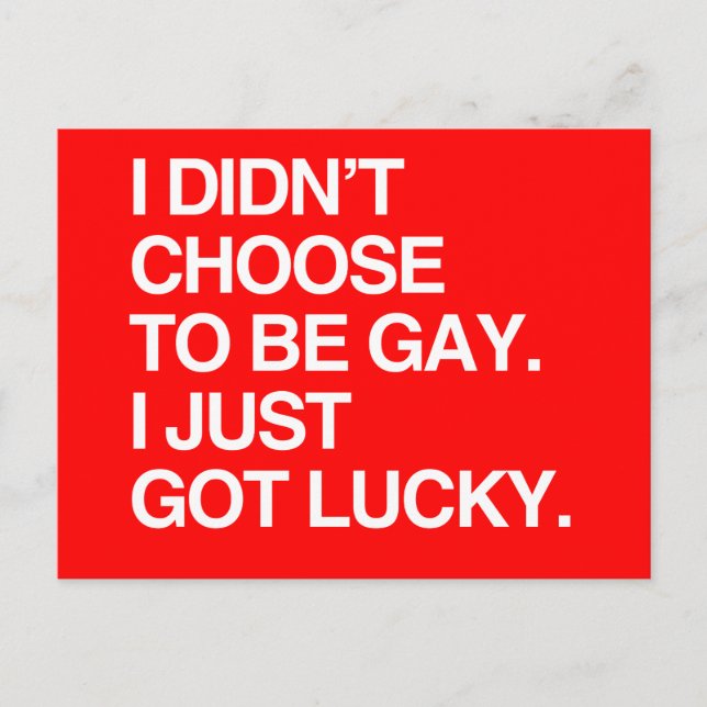 I DIDN'T CHOOSE TO BE GAY I JUST GOT LUCKY POSTCARD (Front)