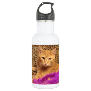 I Didn't Do It! 532 Ml Water Bottle