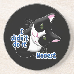 I didn't do it Cat Coaster