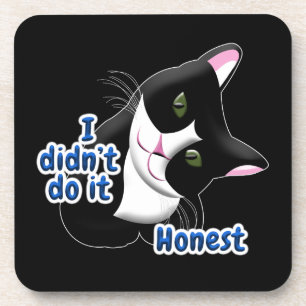 I didn't do it Cat Coaster