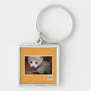 I didn't do it. key ring