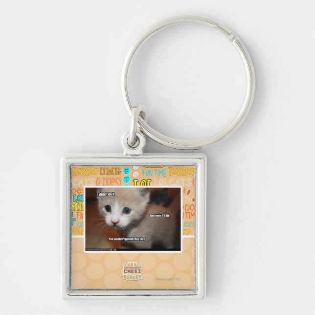I didn't do it. key ring (Front)