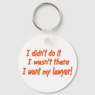 I didn't do it.... key ring