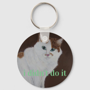 i didn't do it key ring