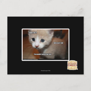 I didn't do it. postcard