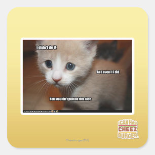 I didn't do it. square sticker