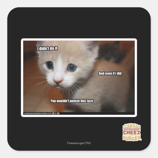 I didn't do it. square sticker (Front)