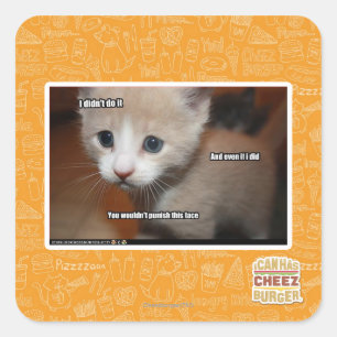 I didn't do it. square sticker