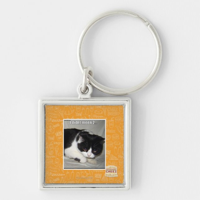 I didn't meen 2 key ring (Front)