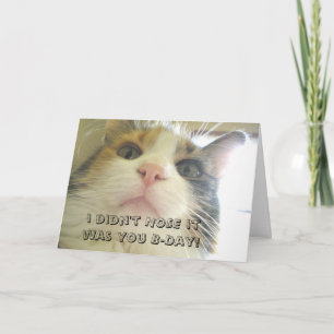 I didn't NOSE it was your Birthday Kitty Cat Card