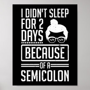 I Didn't Sleep 2 Days Semicolon Programmer Coding Poster