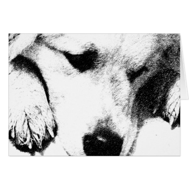 I didn't think Card (Front Horizontal)