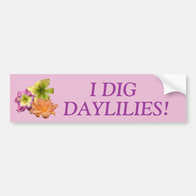 I Dig Daylilies Bumper Sticker (Front)