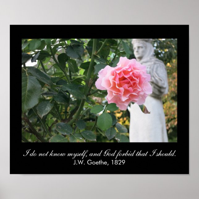 I do not know myself, and... (J.W. Goethe quote) Poster (Front)