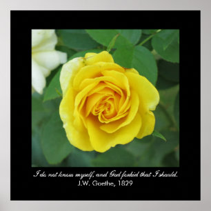 I do not know myself . . . (Goethe) Poster