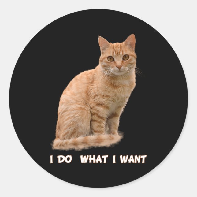 I Do W I Want Orange Tabby Cat Classic Round Sticker (Front)