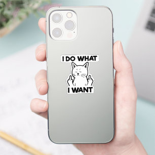 I Do What I Want Cat