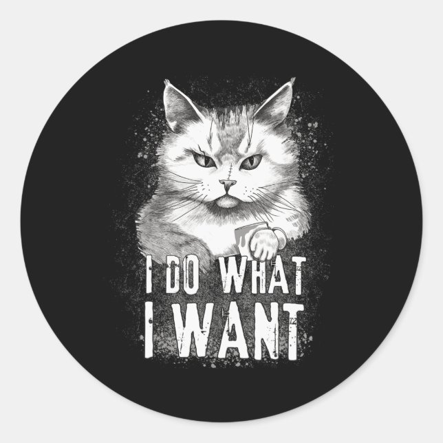 I Do What I Want Cat Halloween Funny Cat Halloween Classic Round Sticker (Front)