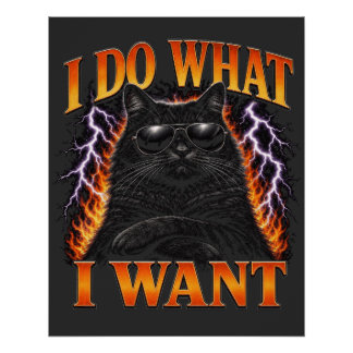 I Do What I Want Cool Black Cat Rebel Poster
