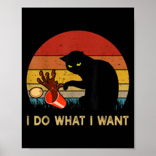 I Do What I Want Funny Black Cat For Women Men Vin Poster