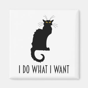 I Do What I Want Funny Cat Chat Noir Magnet