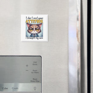 I don’t need your attitude. I brought my own! Magnet