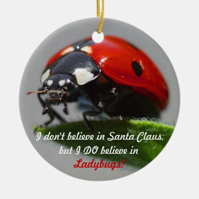 I Don't Believe in Santa Claus - Ladybug Ornament (Front)