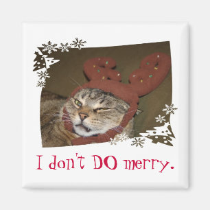 I don't DO merry. Cat with Antlers Magnet!! Magnet