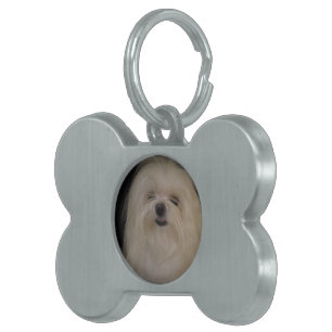 I Don't Do Top Knots MALTESE Pet Tag