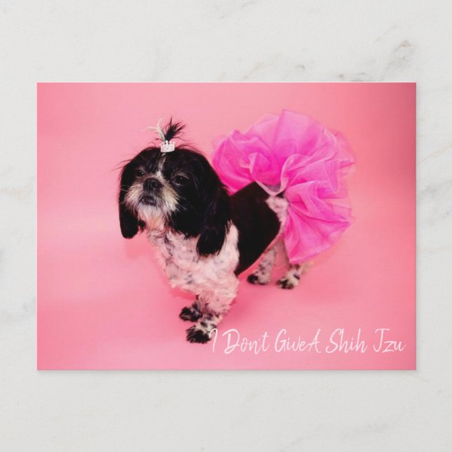 I Don't Give A Shih Tzu Postcard (Front)