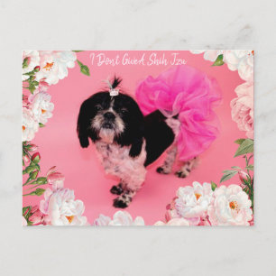 I Don't Give A Shih Tzu Postcard