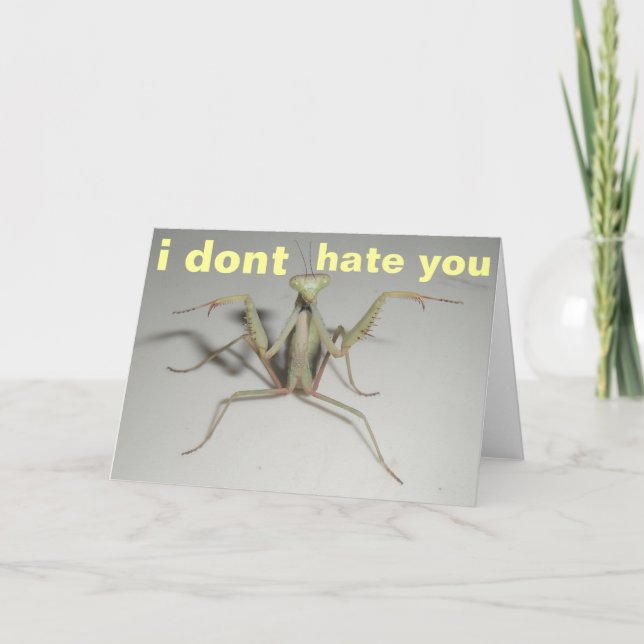 i dont hate you card (Front)